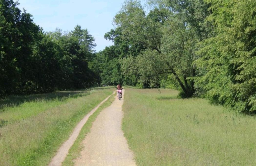 Spreewald Ferienwohnung Noack Lübben Kültér fotó
